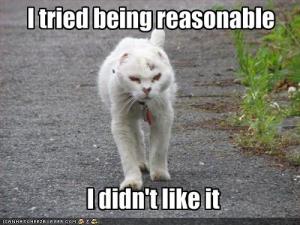 reasonable-cat