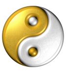 yin yang computer